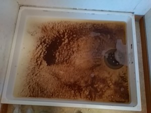 IMG_20170425_112226